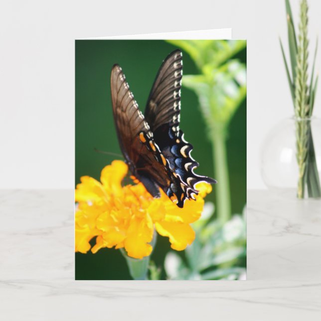 Butterfly Card (Front)