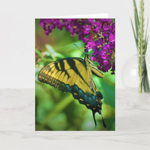 Butterfly, card