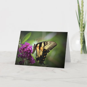 Butterfly, card