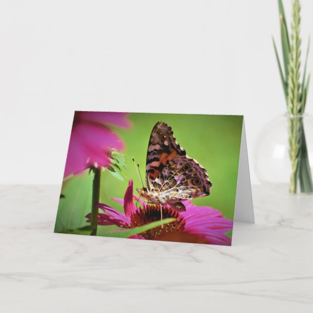 Butterfly, card (Front)