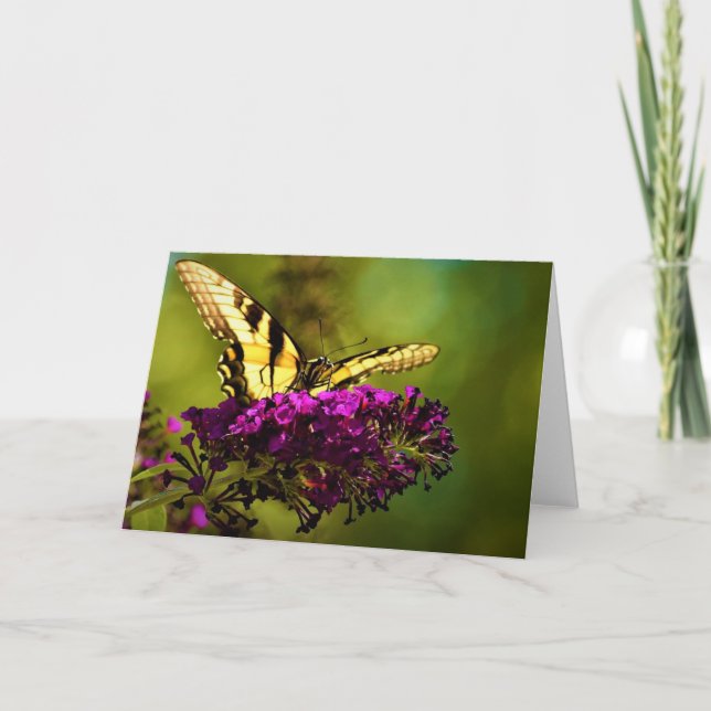 Butterfly, card (Front)