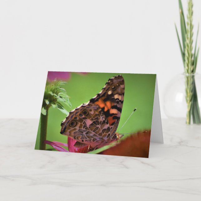 Butterfly, card (Front)