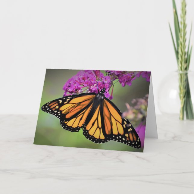 Butterfly, card (Front)