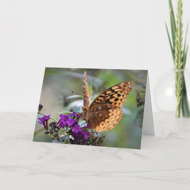 Butterfly, card (Front)