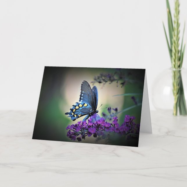 Butterfly, card (Front)