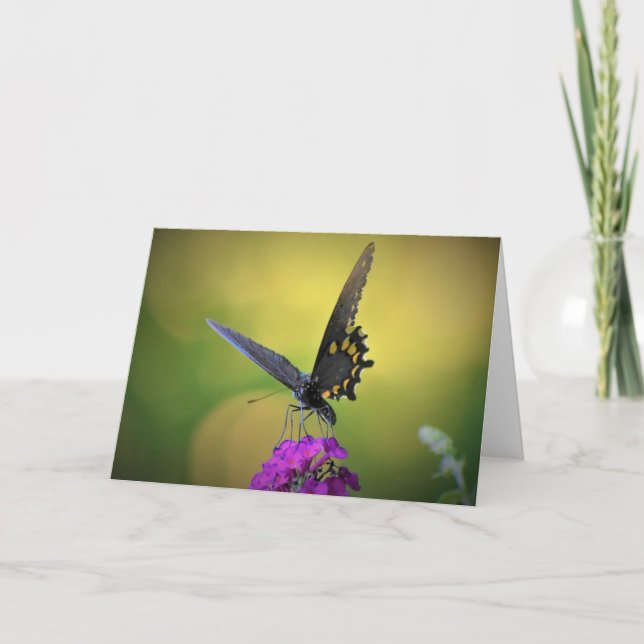 Butterfly, card (Front)
