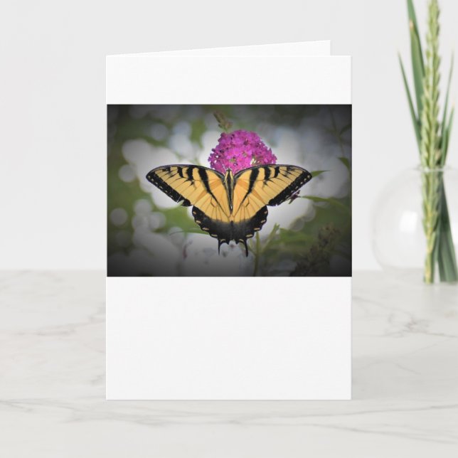 Butterfly, card (Front)