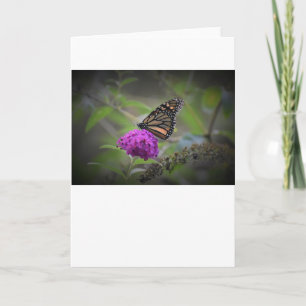 Butterfly, card
