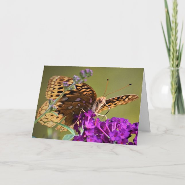 Butterfly, card (Front)