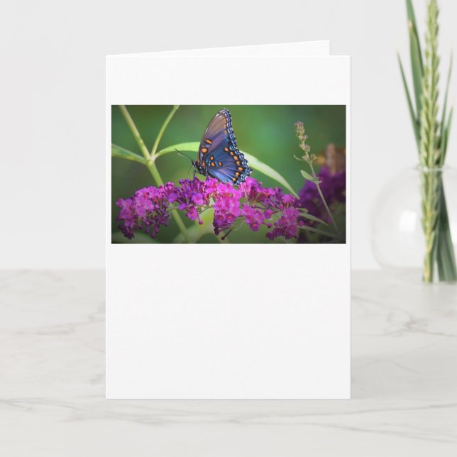 Butterfly, card (Front)