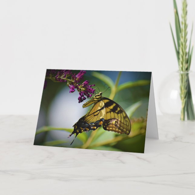 Butterfly, card (Front)