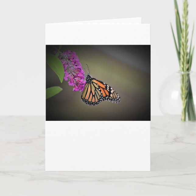 Butterfly, card (Front)