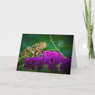 Butterfly, card