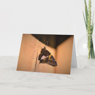 Butterfly, card