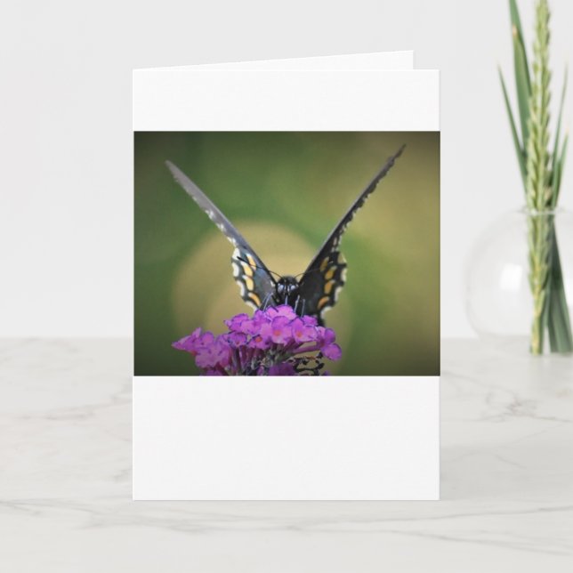 Butterfly, card (Front)