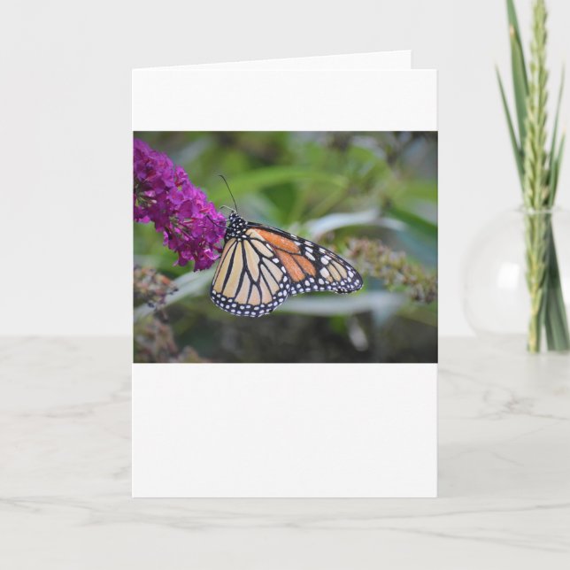 Butterfly, card (Front)