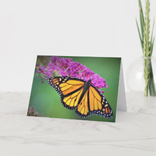 Butterfly, card