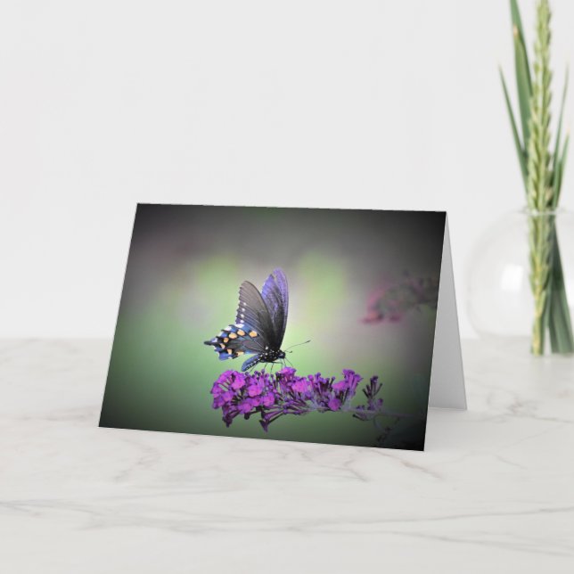 Butterfly, card (Front)
