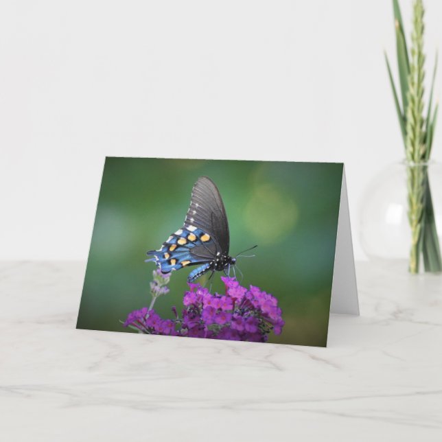 Butterfly, card (Front)
