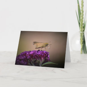 Butterfly, card