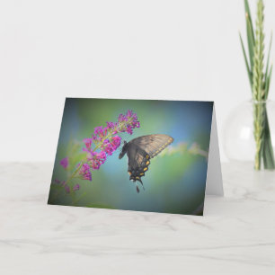 Butterfly, card