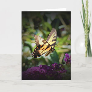 Butterfly, card