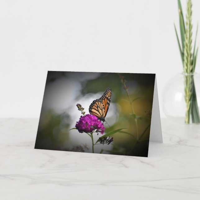 Butterfly, card (Front)
