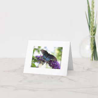 Butterfly Card