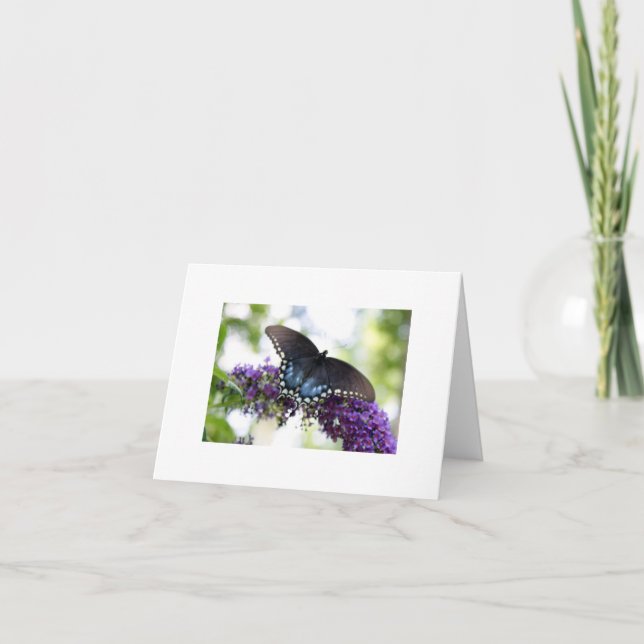 Butterfly Card (Front)