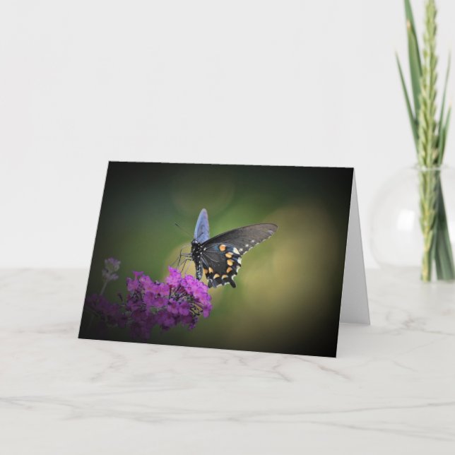 Butterfly, card (Front)