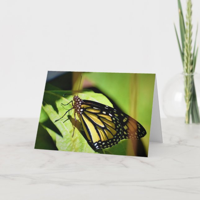 Butterfly, card (Front)