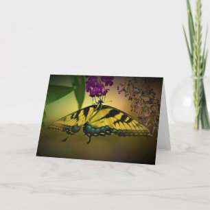 Butterfly, card