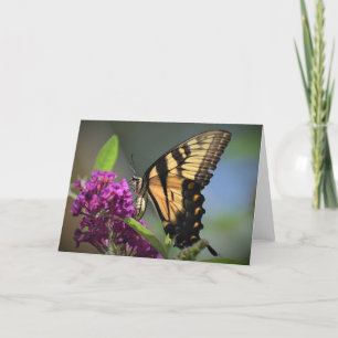 Butterfly, card