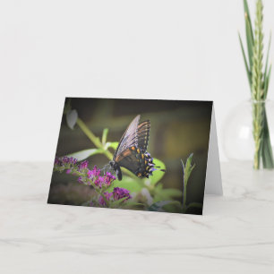 Butterfly, card