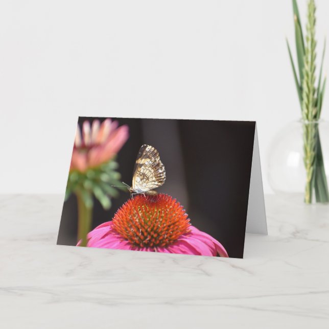 Butterfly, card (Front)