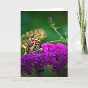 Butterfly, card