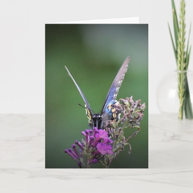 Butterfly, card (Front)