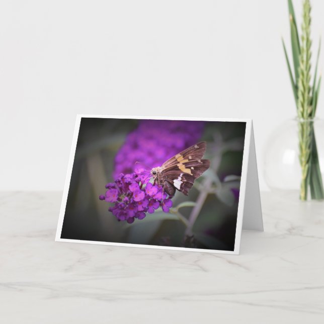 Butterfly, card (Front)