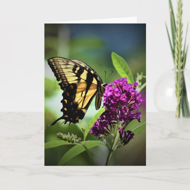 Butterfly, card (Front)