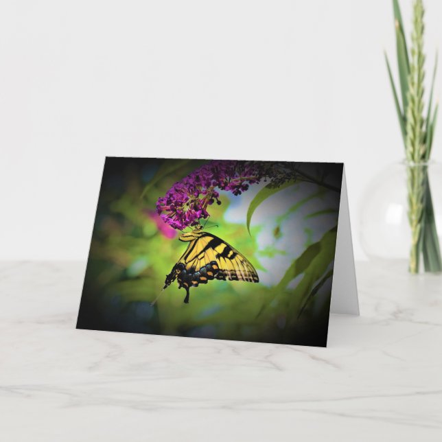 Butterfly, card (Front)