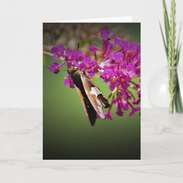 Butterfly, card (Front)