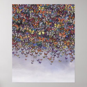 butterfly cascade poster