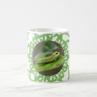 Butterfly Caterpillar Larva