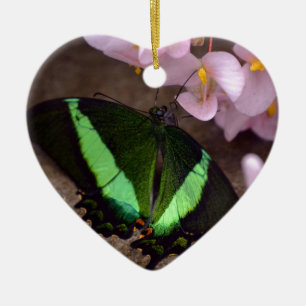 Butterfly Ceramic Tree Decoration