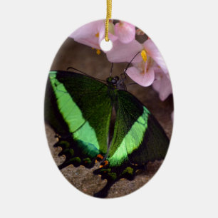 Butterfly Ceramic Tree Decoration