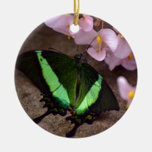 Butterfly Ceramic Tree Decoration