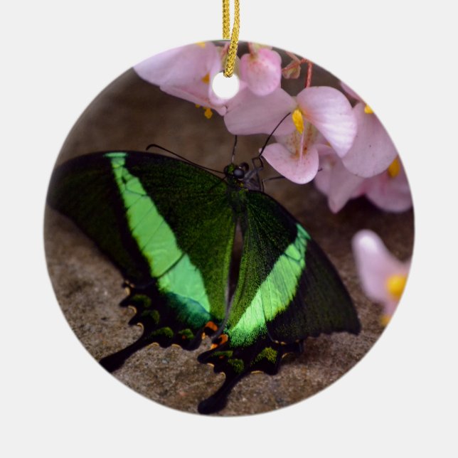 Butterfly Ceramic Tree Decoration (Front)
