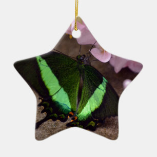 Butterfly Ceramic Tree Decoration
