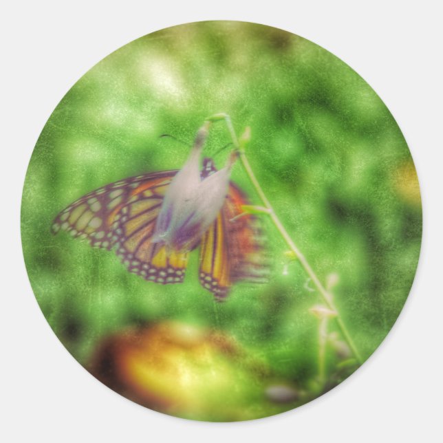 Butterfly Classic Round Sticker (Front)
