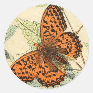 Butterfly Classic Round Sticker